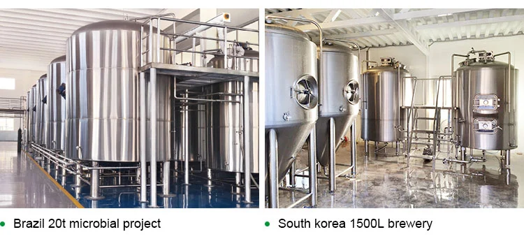 Beer Fermentation Tank